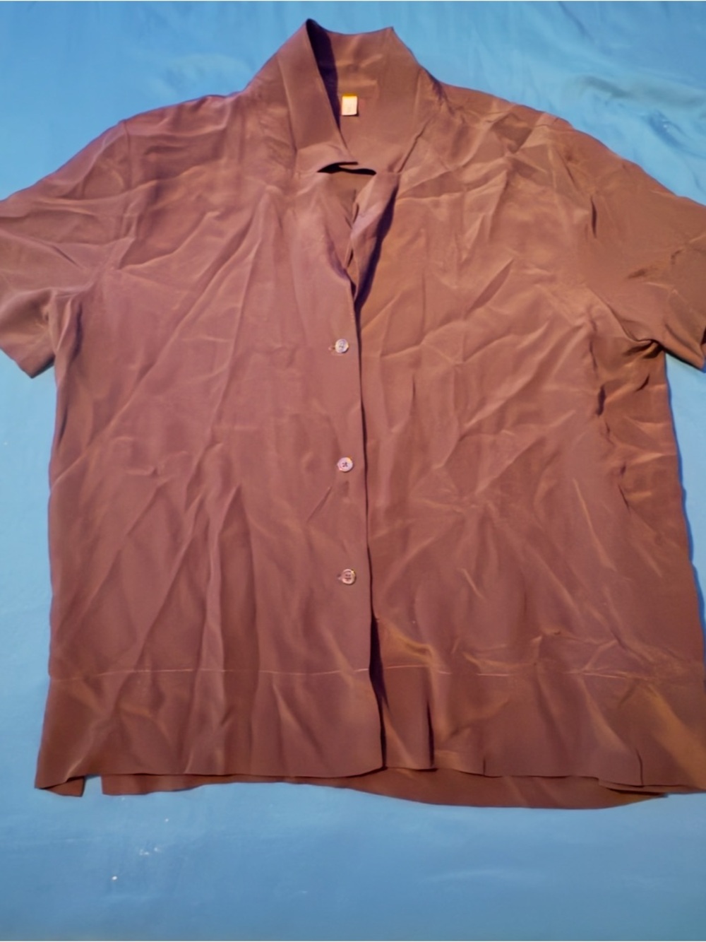 Lilysilk elegant Women's Brown Short-Sleeve Button up Blouse